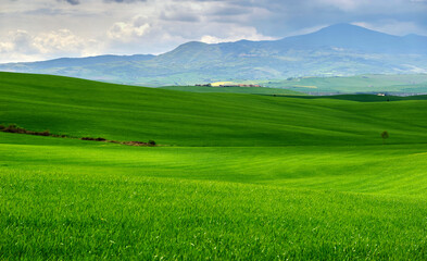 Spring landscape in the rolling hills of Tuscany