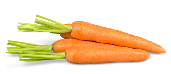 Fresh orange carrots with green leaf
