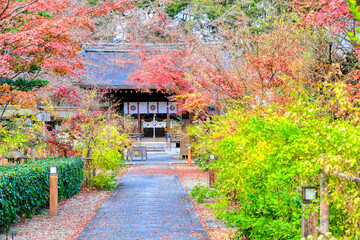 Fototapeta na wymiar 京都、梨木神社の参道
