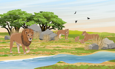 A flock of lions is resting on the bank of a stream. Pride of lion, lionesses and their cubs. Wildlife of Africa. Realistic vector landscape - obrazy, fototapety, plakaty