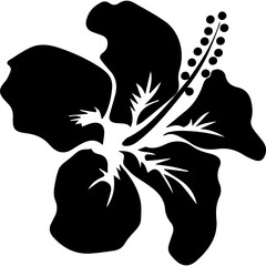 Hibiscus flower illustration art 