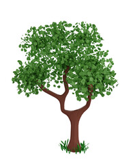 Shapes and green tree.3D rendering