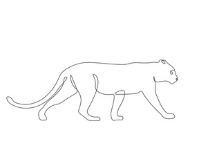 panther walking,hand drawn, continuous mono line, one line art