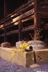 神社本殿の縁の下を飾る生け花。