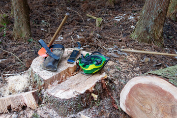伐採現場の道具とヘルメット