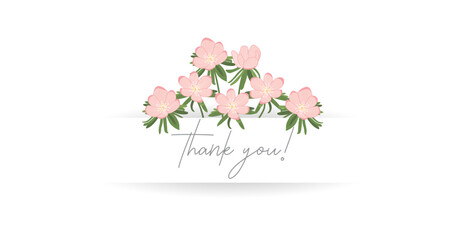 Thank you with flowers, handwritten lettering, isolated vector 