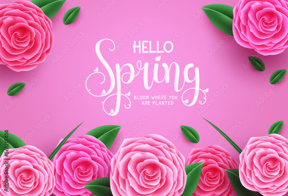 Poster spring vector background. hello spring typography text with beautiful rose flower element. vector il