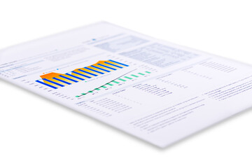Project Plan Printout with chart