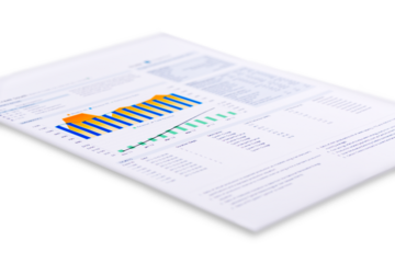 Project Plan Printout with chart