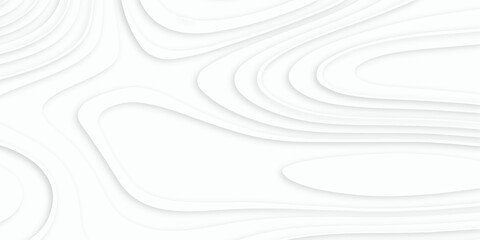 Abstract white paper cut shapes background with shadow and topography map concept. Abstract realistic Papercut decoration background. Vector illustration. 