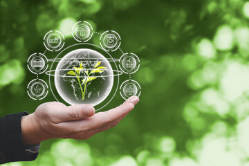 hand protect world to green energy,and reduce global warming,climate change,ecology friendly investment,ESG environment social governance,Green Business Innovation and Sustainable Development concept.