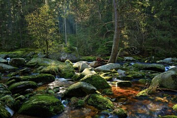Wilderness of Vydra river, Bohemian Forest, Sumava National Park, Czech Republic. Fast flowing river creek in autumnal forest with beautiful foliage