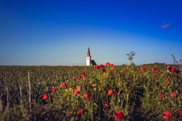 die Kirche von den Hoorn auf der Ferieninsel Texel