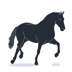 Horse Silhouette