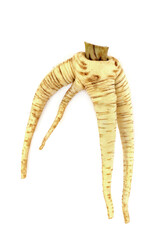 Parsnip organic twisted and deformed organic vegetable on white background. Forked specimen but...