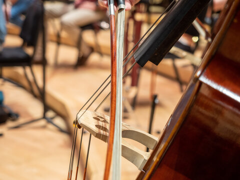 bow music instrument