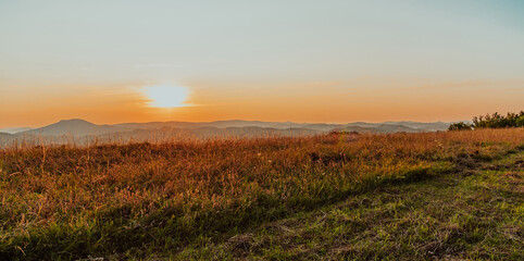 Obraz premium Idyllic sunset on a meadow with too late long green grass