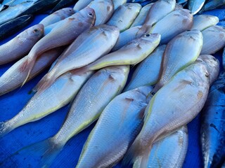 a view of local market of cheap fishes in aceh indonesia