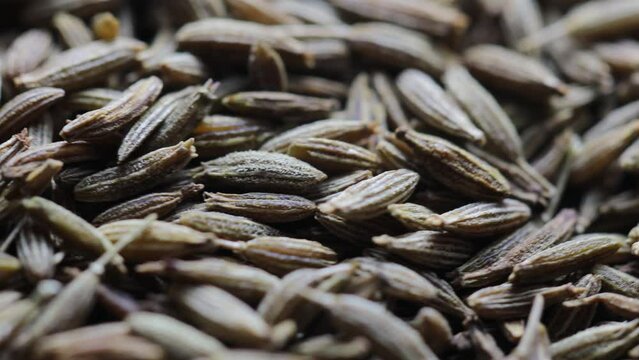 a pile of natural dried cumin seeds rotate in a circle