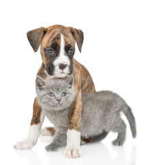 Friendly German Boxer puppy dog hugs and kisses tiny kitten. isolated on white background