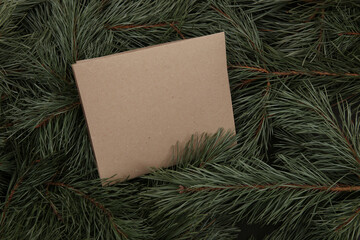 Pine branches background with copy space for text. Paper sheet space with Pinus mugo branches.