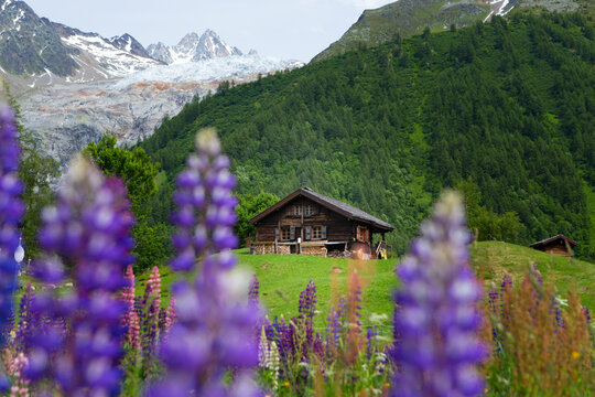 An old wooden hut in a mountain meadow below a glacier in the Chamonix valley, seen during the Tour du Mont Blanc hike.