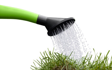 Watering can with green grass © BillionPhotos.com