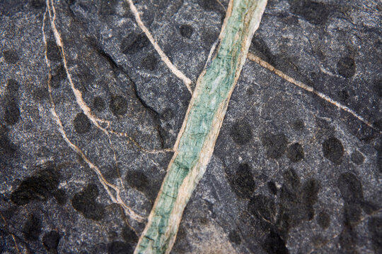 Quartz veins on a bedrock slab found on the west slope of the Great Nunatak outside Valdez, Alaska.