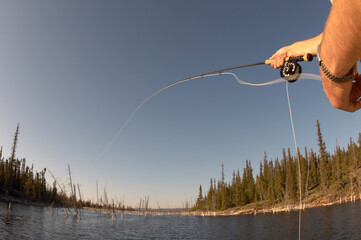 Man freshwater fly fishing in Canada.
