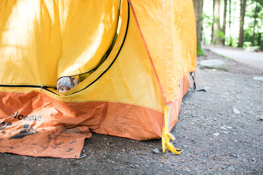Baby peeking out from tent, Harrison, British Columbia, Canada