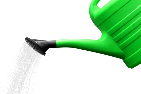 Watering can with green grass