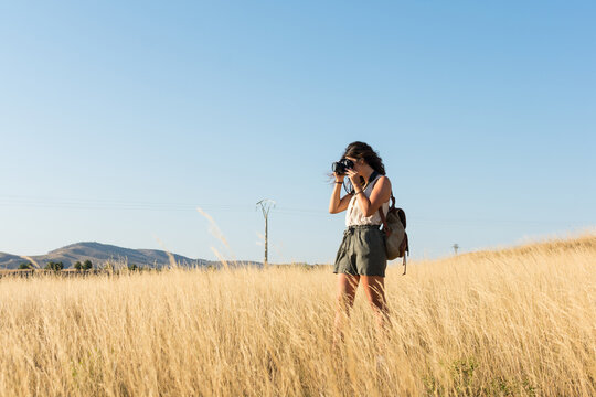 Young woman is taking a picture with a camera in a meadow at sun