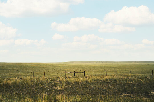 Plains of the American West