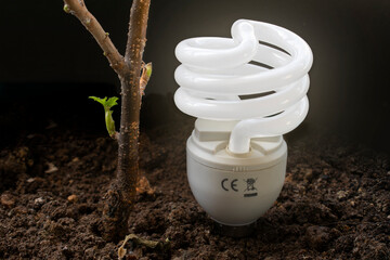 Energy saving and natural energy concept