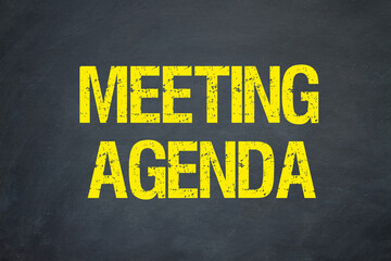 Meeting Agenda	