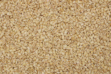 rice texture white jasmine basmati background