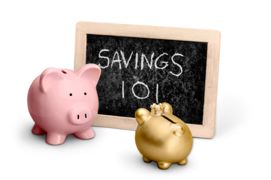 Piggy Bank and Chalkboard with Savings 101