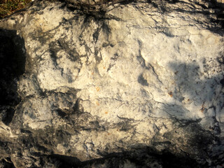 Rock, stone, textured. Background for design.