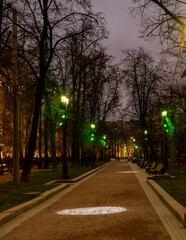 alley in the park at night