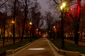 alley in the park at night