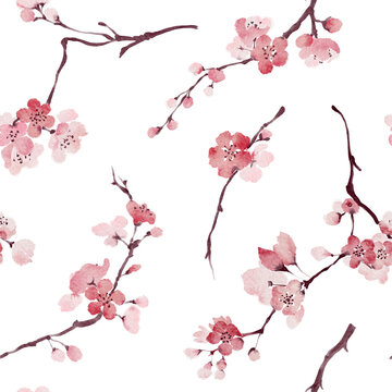 Watercolor blooming cherry branches seamless pattern on white background
