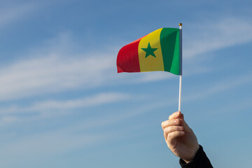 Senegal flag in hand flutters in the wind against the sky