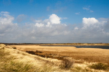 Landscape at Texel