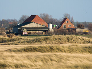Obraz premium Landscape at Texel