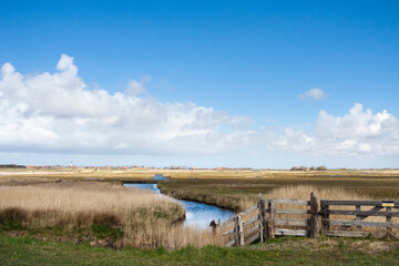 Landscape at Texel