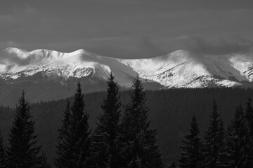 Fototapeta na wymiar Dramatic winter landscape in mountains. View of a snow-covered misty peaks and hills . Black and white photos. Nature concept background.