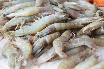 raw tiger prawns on ice at the fish market