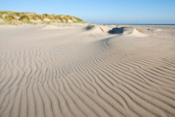 Strand en duinen oostpunt, Vlieland (Nederland / Netherlands)