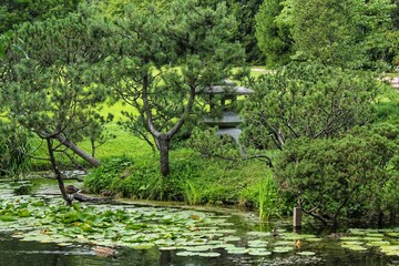 Beautiful landscape view in Japanese traditional botanical decorative garden. Calm nature scene of green summer lake pond water and pagoda lantern. Zen, meditation, harmony concept