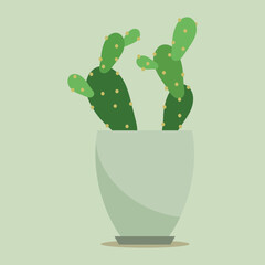 Plant in pot vector illustration. Cartoon flat different indoor potted decorative houseplants for interior home or office decoration, green garden floral collection icons isolated